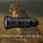 Mobile Preview: Nikon Nikkor Z 14-24mm f/2.8 S Objektiv